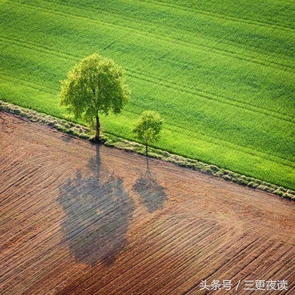 生死狙击最新武器图片,生死狙击最新武器图片，与自然美景的邂逅，寻找内心的平和