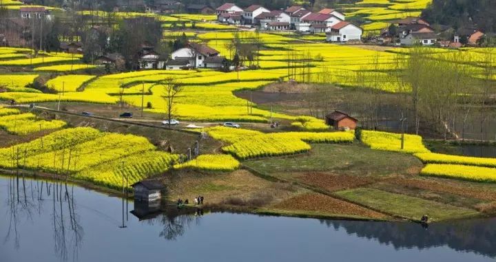 勉县设市最新动态，自然美景的探索之旅启动